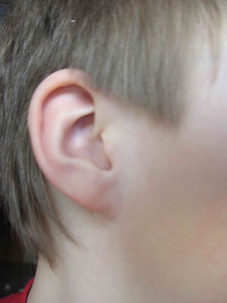 Ear